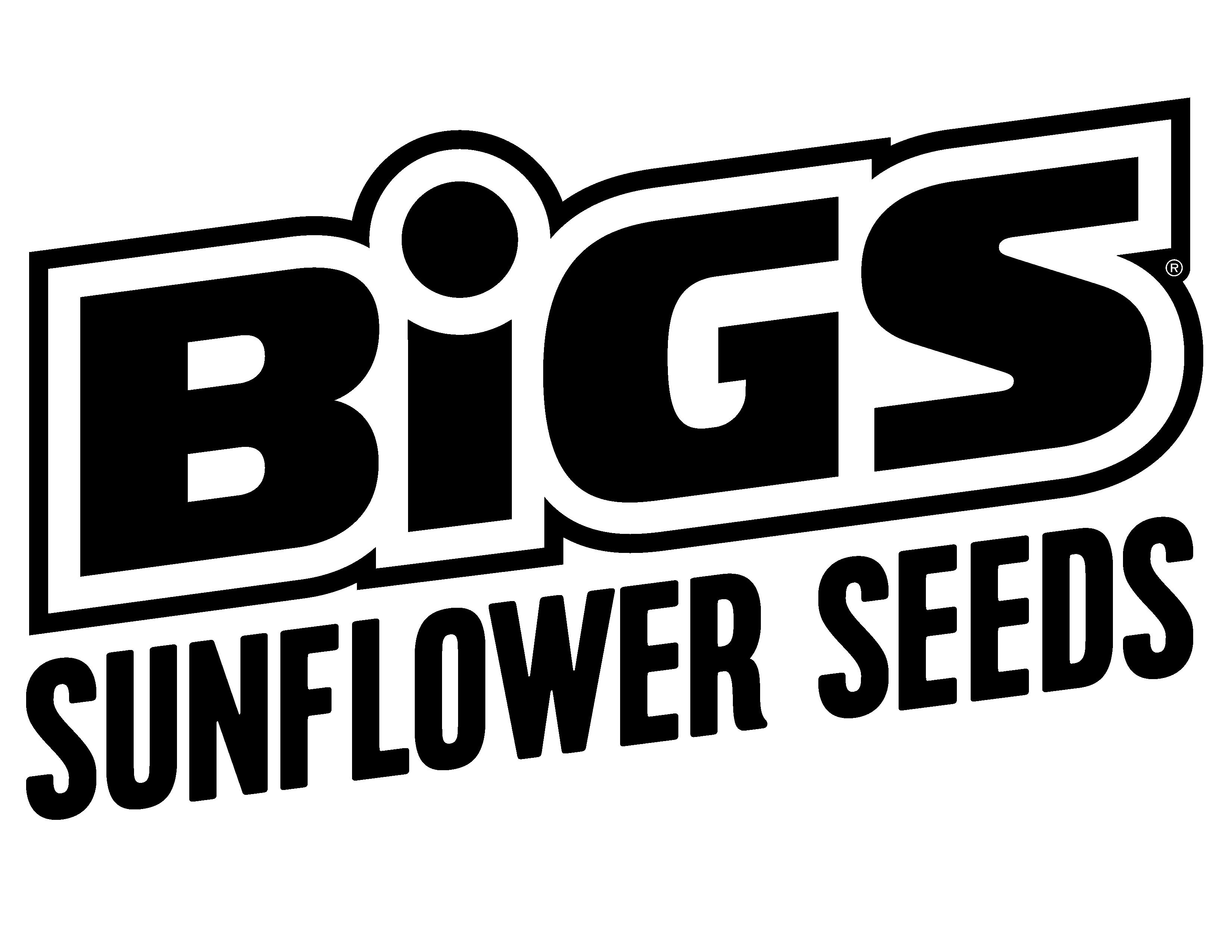 BIGS Sunflower Seeds